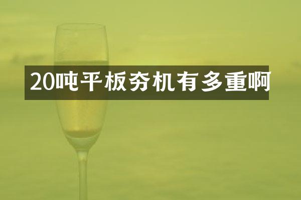 20噸平板夯機(jī)有多重啊