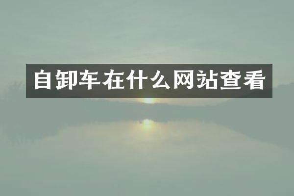 自卸車在什么網(wǎng)站查看