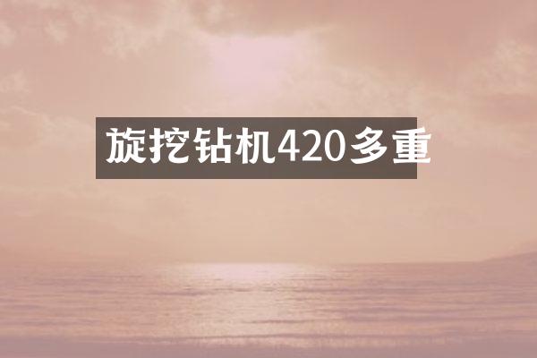 旋挖鉆機420多重