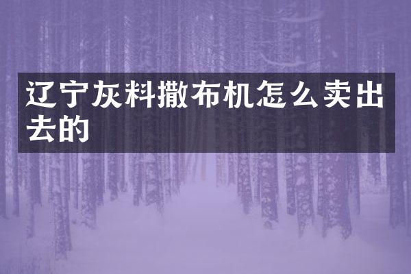 遼寧灰料撒布機怎么賣出去的