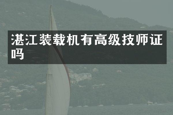 湛江裝載機有高級技嗎