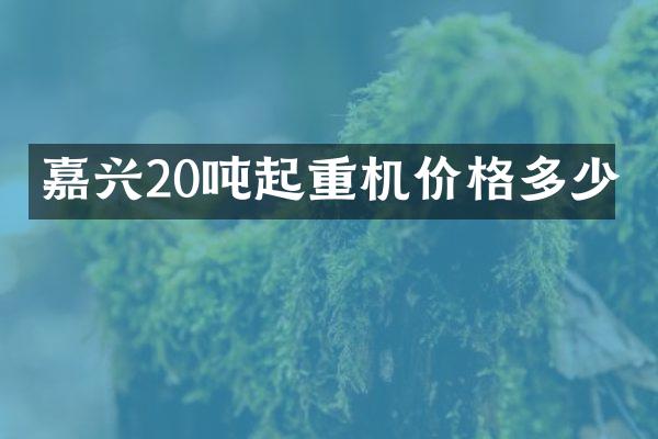 嘉興20噸起重機(jī)價格多少