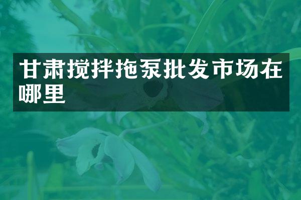 甘肅攪拌拖泵批發(fā)市場(chǎng)在哪里