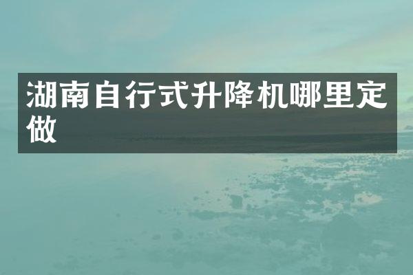 湖南自行式升降機(jī)哪里定做