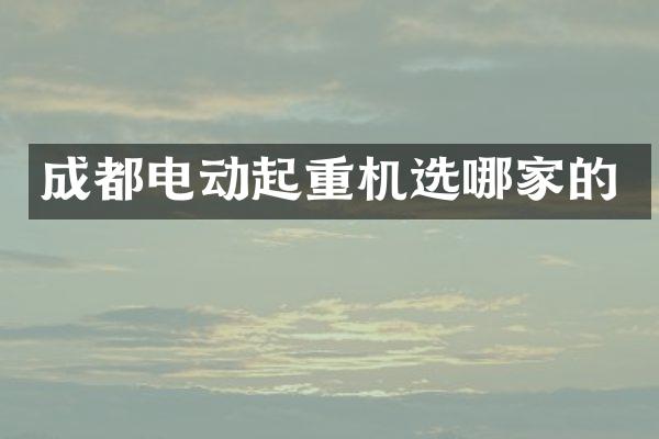 成都電動起重機(jī)選哪家的