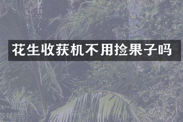 花生收獲機(jī)不用撿果子嗎