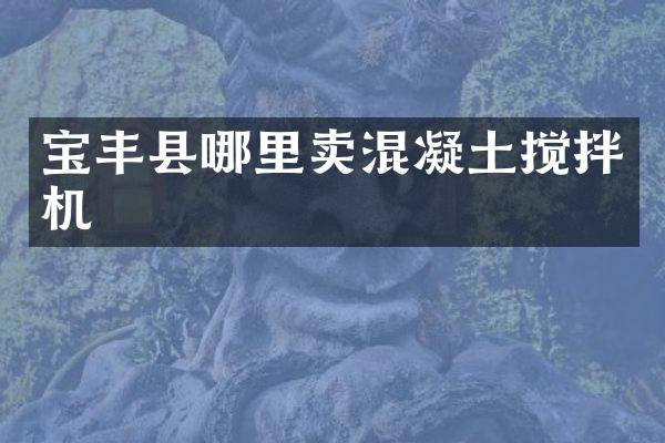 寶豐縣哪里賣混凝土攪拌機