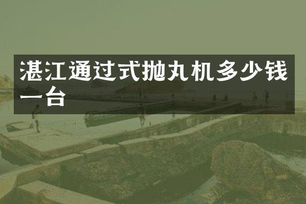 湛江通過式拋丸機(jī)多少錢一臺(tái)