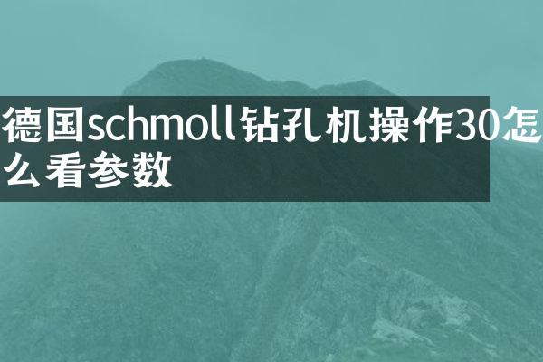 德國schmoll鉆孔機操作30怎么看參數(shù)