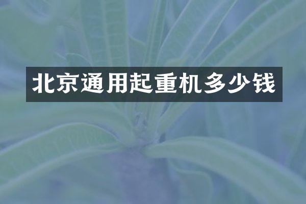 北京通用起重機多少錢