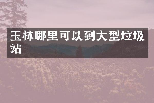 玉林哪里可以到大型垃圾站