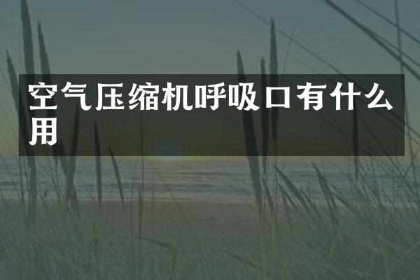 空氣壓縮機(jī)呼吸口有什么用