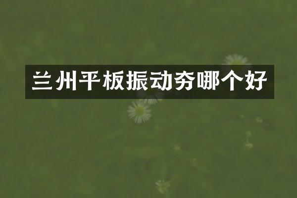 蘭州平板振動夯哪個好