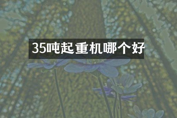 35噸起重機(jī)哪個(gè)好