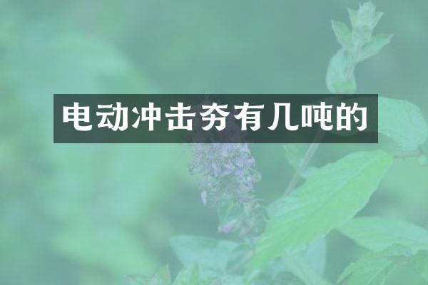 電動沖擊夯有幾噸的