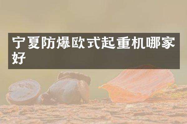 寧夏防爆歐式起重機哪家好