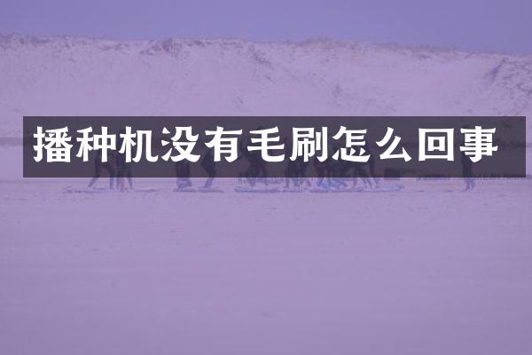 播種機(jī)沒(méi)有毛刷怎么回事