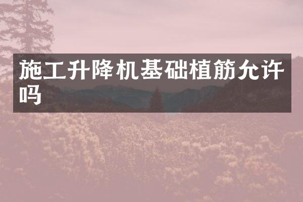 施工升降機(jī)基礎(chǔ)植筋允許嗎