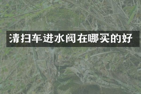 清掃車(chē)進(jìn)水閥在哪買(mǎi)的好