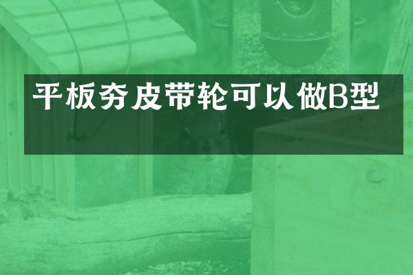 平板夯皮帶輪可以做B型嗎