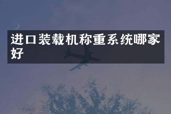 進(jìn)口裝載機(jī)稱重系統(tǒng)哪家好