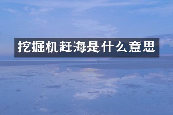 挖掘機(jī)趕海是什么意思