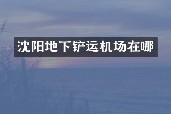 沈陽(yáng)地下鏟運(yùn)機(jī)場(chǎng)在哪