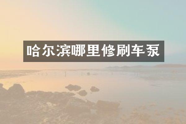哈爾濱哪里修刷車泵