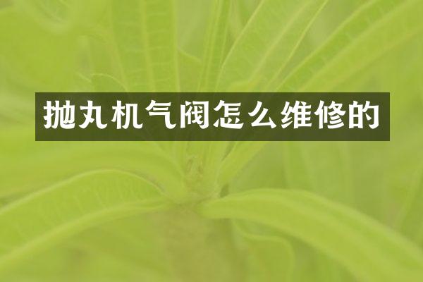 拋丸機(jī)氣閥怎么維修的