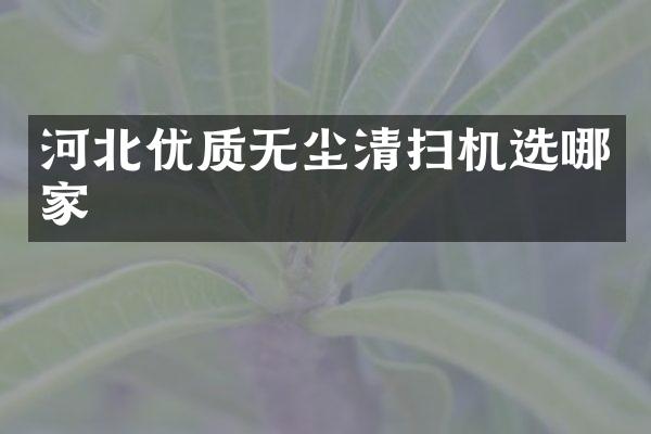 河北優(yōu)質(zhì)無塵清掃機選哪家