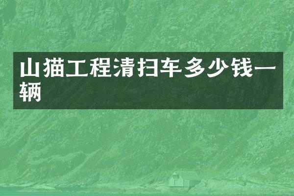 山貓工程清掃車多少錢一輛