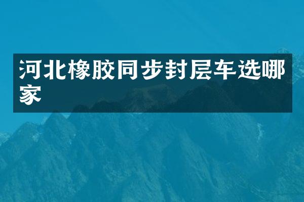 河北橡膠同步封層車選哪家