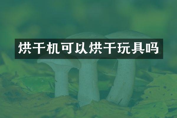 烘干機(jī)可以烘干玩具嗎