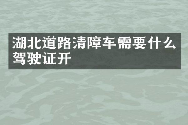 湖北道路清障車需要什么開