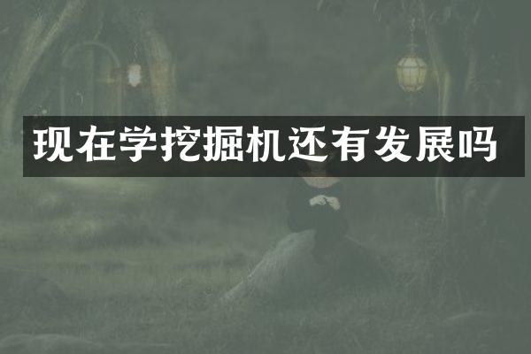 現(xiàn)在學(xué)挖掘機還有發(fā)展嗎