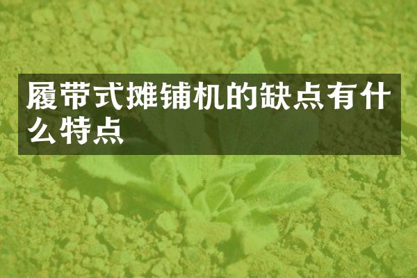 履帶式攤鋪機的缺點有什么特點