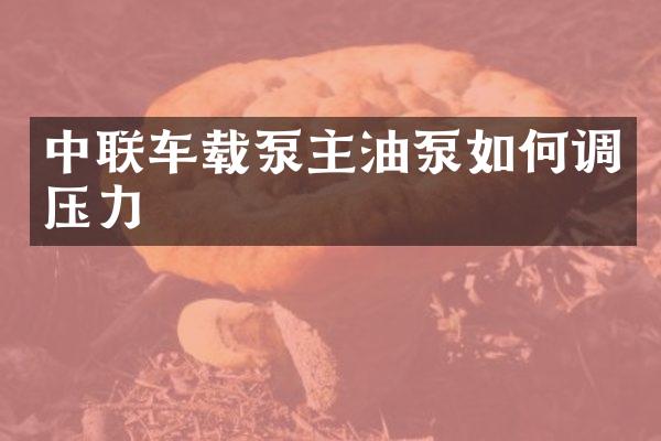 中聯(lián)車載泵主油泵如何調(diào)壓力