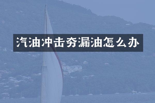 汽油沖擊夯漏油怎么辦