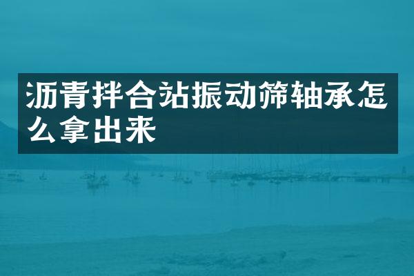 瀝青拌合站振動篩軸承怎么拿出來