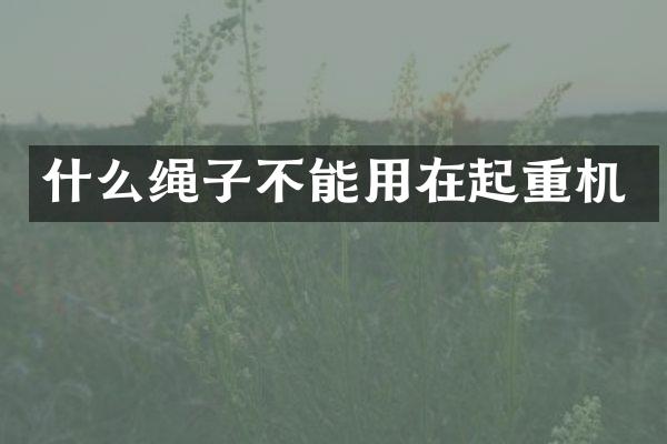 什么繩子不能用在起重機(jī)