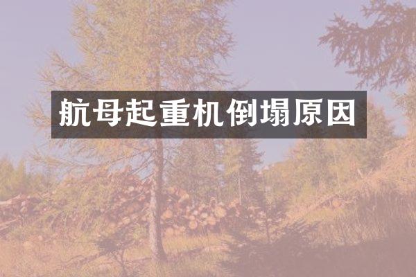 航母起重機倒塌原因