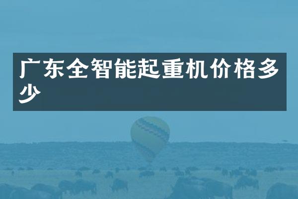 廣東全智能起重機價格多少