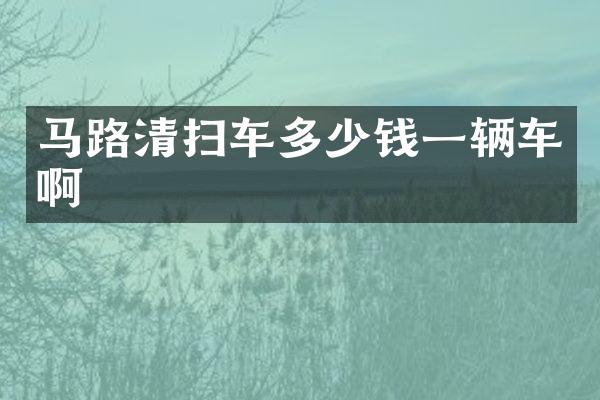 馬路清掃車多少錢一輛車啊