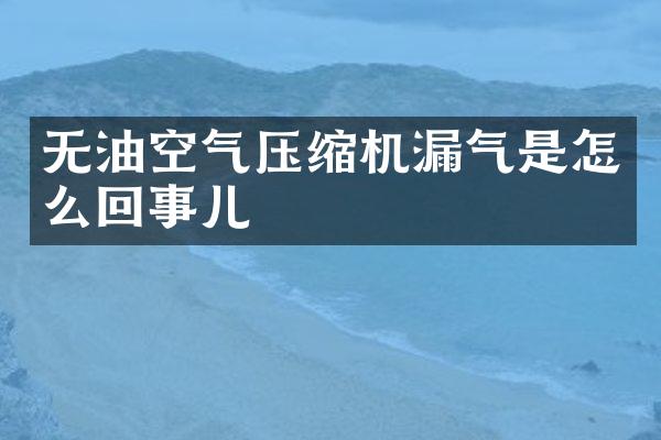 無(wú)油空氣壓縮機(jī)漏氣是怎么回事兒