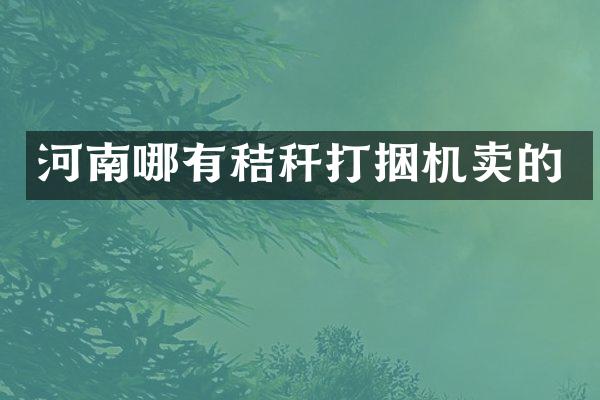 河南哪有秸稈打捆機(jī)賣的