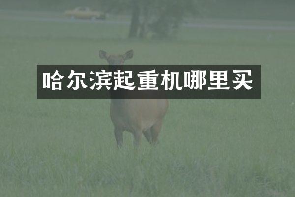 哈爾濱起重機(jī)哪里買