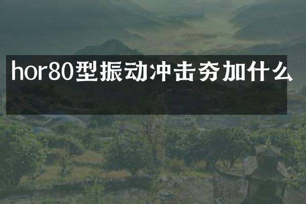 hor80型振動(dòng)沖擊夯加什么油