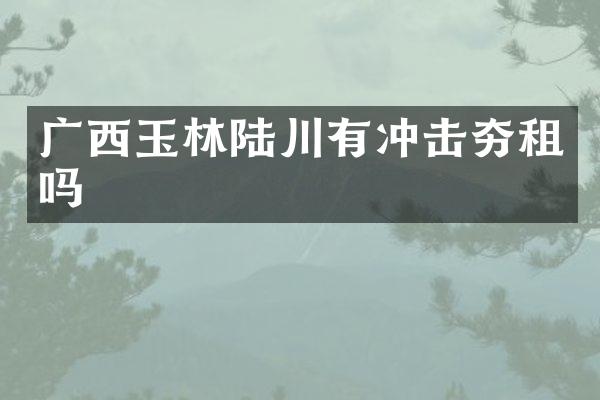 廣西玉林陸川有沖擊夯租嗎