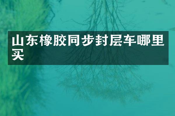 山東橡膠同步封層車哪里買