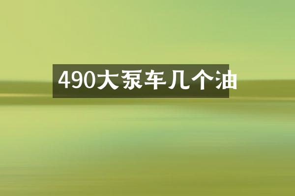 490大泵車幾個油